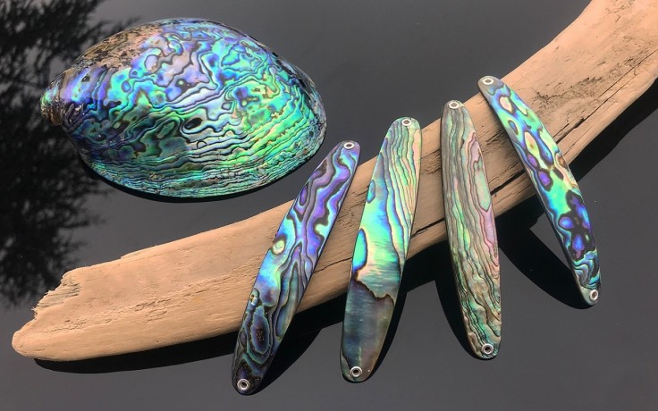 Perlmutt Spange Paua Premium 9 cm Perlmutt-Spange