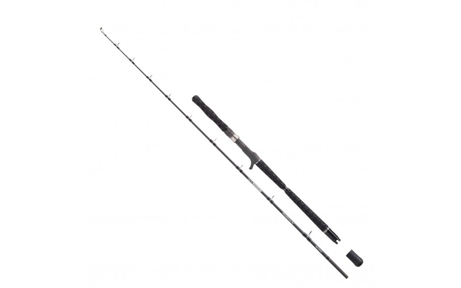 Meeresrute Balzer Adrenalin Arctic Jigger 9 lbs Cast 1,97 Meter Länge 4 - 9 lb Wurfgewicht 1,30 M Transp. 375 Gramm 2teilig