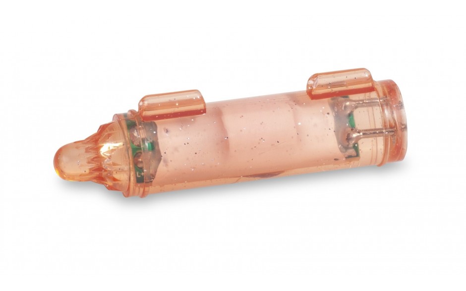 aquantic-flash-light-rot