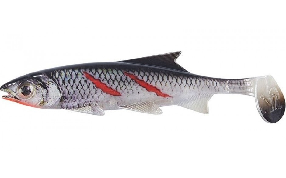 Clone Shad Bloody Minnow 18cm Angelköder Gummifisch zum Angeln auf Raubfische