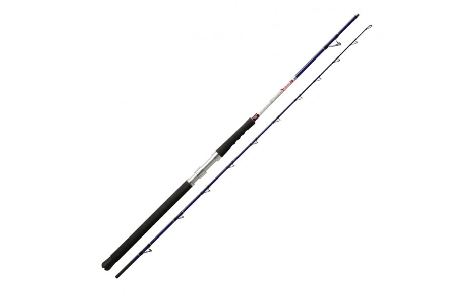 Dega Nordic Seamaster 2,3 Meter bis 200 Gramm Meeresrute Angelrute