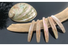 Perlmutt Spange Rainbow Premium 7 cm Perlmutt Blinker aus der Schweiz