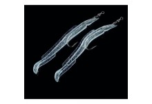 Sandaal Beifänger Angelköder Meeresangelköder 2er Pack