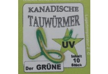 Kanadische Tauwürmer grün UV Angelwurm 10 Stück