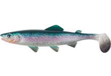 Clone Shad Regenbogenforelle 15cm Angelköder Gummifisch zum Angeln auf Raubfische