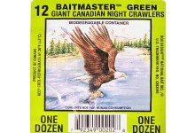 Kanadische Tauwürmer grün UV Angelwurm 10 Stück