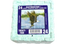 Tauwürmer  24er Packung Angelwurm lebend Angelköder 24 Stück in hochwertiger Styropor Angelwurmbox