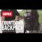 Rapala Countdown Backpack Angelrucksack Anglerrucksack